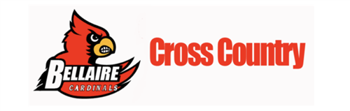 cc